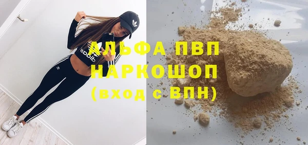 ГАЛЛЮЦИНОГЕННЫЕ ГРИБЫ Аркадак