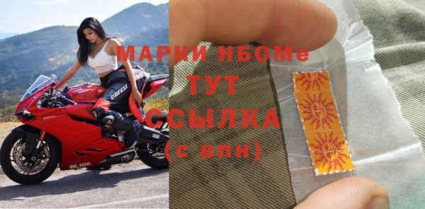 ГАЛЛЮЦИНОГЕННЫЕ ГРИБЫ Аркадак