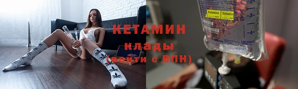ГАЛЛЮЦИНОГЕННЫЕ ГРИБЫ Аркадак