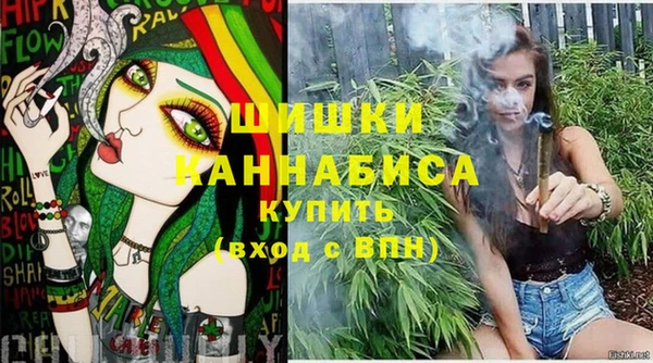 ГАЛЛЮЦИНОГЕННЫЕ ГРИБЫ Аркадак